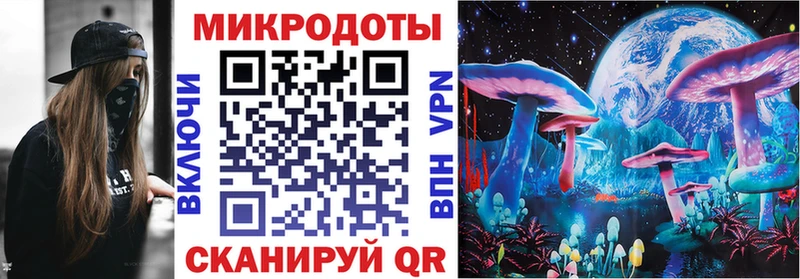 Галлюциногенные грибы Psilocybine cubensis Костерёво